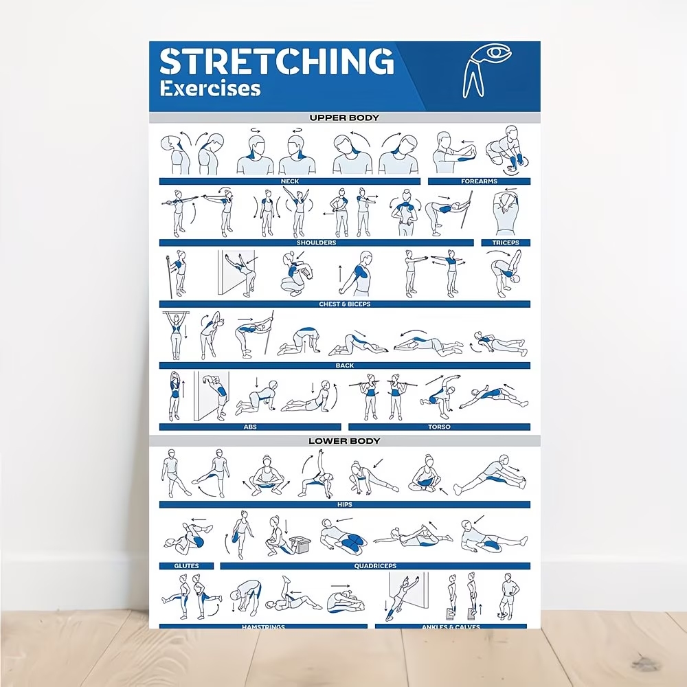 Home Gym Room - Modern Labeled Full-Body Stretches For Gym
