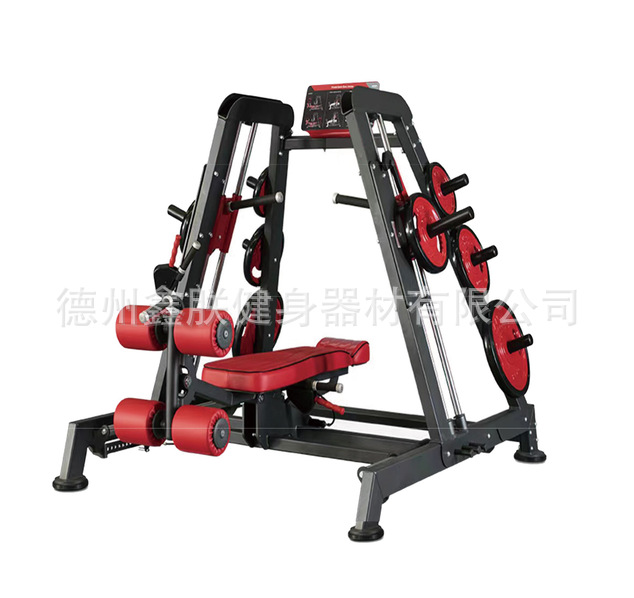 Commercial Gym Strength Machin - огляд і ціна Home Gym With Leg Press