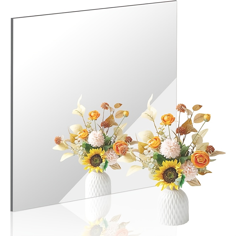 Bandwagon 2mm Acrylic Mirror S - огляд і ціна Home Gym Kids