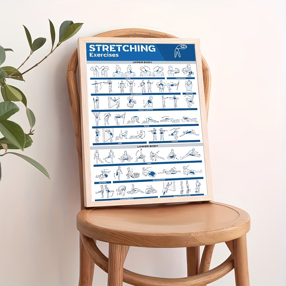 Modern Labeled Full-Body Stret - огляд і ціна Home Gym Room